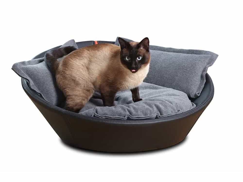 Siamese cat enthroned in black cowhide cat basket by pet-interiors.